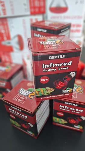 لامپ مادون قرمز (اصل)