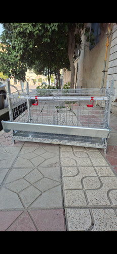 قفس پازلی مرغ تخمگذار